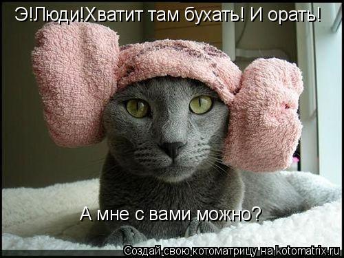 Э!Люди!Хватит там бухать! И орать! А мне с вами можно?... Котоматрица: Э!Люди!Хватит там бухать! И орать! А мне с вами можно?