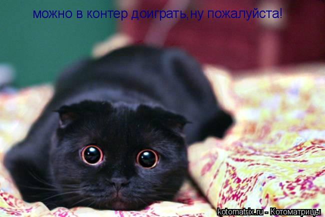 можно в контер доиграть,ну пожалуйста!... Котоматрица: можно в контер доиграть,ну пожалуйста!