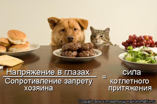 _________________ Напряжение в глазах сила Сопротивление запрету котлетного хозяи... Котоматрица: _________________ Напряжение в глазах сила Сопротивление запрету котлетного хозяина притяжения =