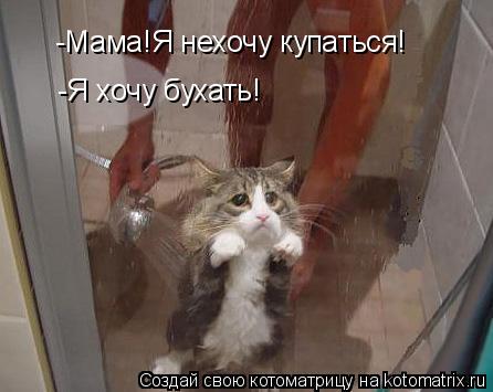 -Мама!Я нехочу купаться! -Я хочу бухать!... Котоматрица: -Мама!Я нехочу купаться! -Я хочу бухать!