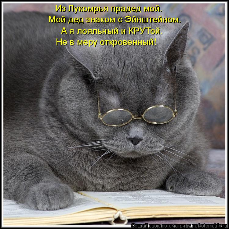 Из Лукомрья прадед мой. Мой дед знаком с Эйнштейном. А я лояльный и КРУТой. Не в меру откровенный!... Котоматрица: Из Лукомрья прадед мой. Мой дед знаком с Эйнштейном. А я лояльный и КРУТой. Не в меру откровенный!