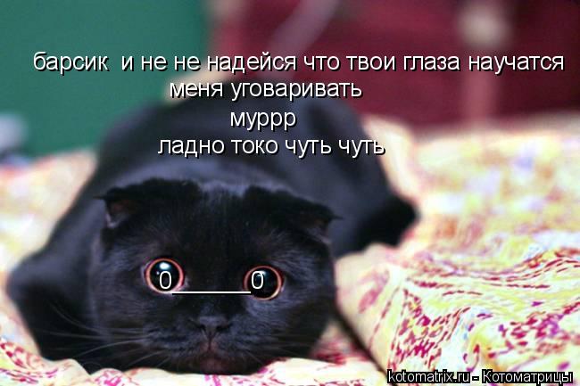 барсик и не не надейся что твои глаза научатся меня уговаривать муррр ладно токо чуть чуть 0______0... Котоматрица: барсик и не не надейся что твои глаза научатся меня уговаривать муррр ладно токо чуть чуть 0______0