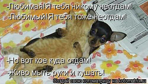 -Любимая!Я тебя никому неотдам! -Любимый!Я тебя тоже неотдам! -Но вот кое куда отдам! -Живо мыть руки... Котоматрица: -Любимая!Я тебя никому неотдам! -Любимый!Я тебя тоже неотдам! -Но вот кое куда отдам! -Живо мыть руки и кушать!