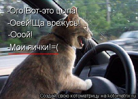 -Ого!Вот-это цыпа! -Оеей!Ща врежусь! -Ооой! -Мои яички!=( ___________... Котоматрица: -Ого!Вот-это цыпа! -Оеей!Ща врежусь! -Ооой! -Мои яички!=( ___________