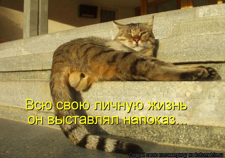 Всю свою личную жизнь он выставлял напоказ...... Котоматрица: Всю свою личную жизнь он выставлял напоказ...