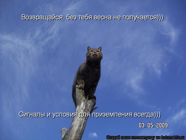 Возвращайся, без тебя весна не получается))) Сигналы и условия для приземления всегда)))... Котоматрица: Возвращайся, без тебя весна не получается))) Сигналы и условия для приземления всегда)))