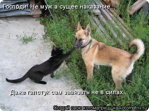 Господи! Не муж а сущее наказание... Даже галстук сам завязать не в силах...... Котоматрица: Господи! Не муж а сущее наказание... Даже галстук сам завязать не в силах...
