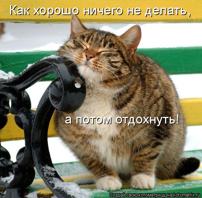Как хорошо ничего не делать а потом отдохнуть! ,... Котоматрица: Как хорошо ничего не делать а потом отдохнуть! ,