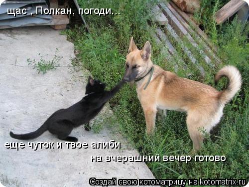 щас , Полкан, погоди... еще чуток и твое алиби на вчерашний вечер готово... Котоматрица: щас , Полкан, погоди... еще чуток и твое алиби на вчерашний вечер готово