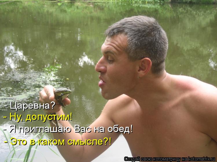 Котоматрица: - Царевна? - Ну, допустим! - Я приглашаю Вас на обед! - Это в каком смысле?!
