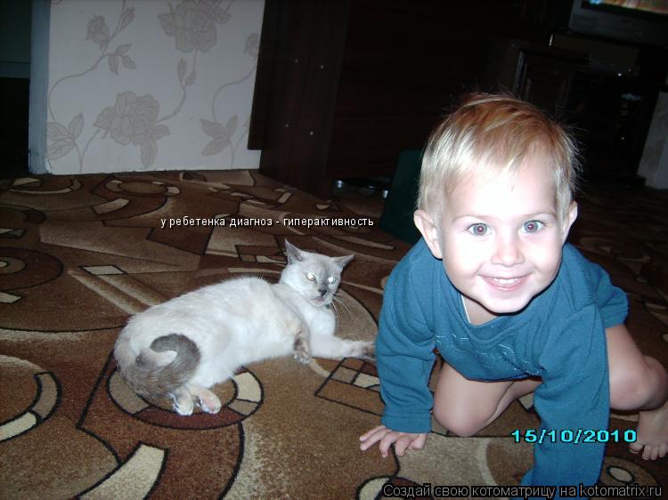 у ребетенка диагноз - гиперактивность... Котоматрица: у ребетенка диагноз - гиперактивность