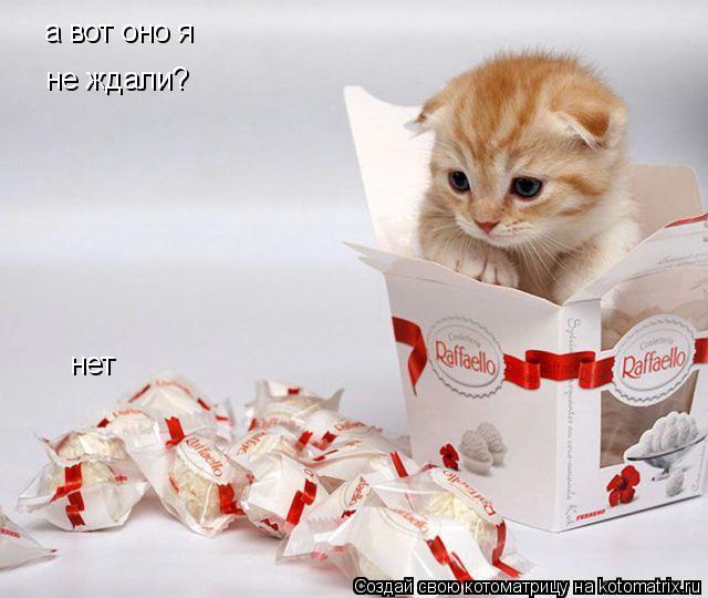 а вот оно я не ждали? нет... Котоматрица: а вот оно я не ждали? нет