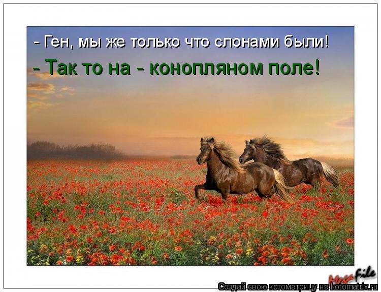 - Ген, мы же только что слонами были! - Так то на - конопляном поле!... Котоматрица: - Ген, мы же только что слонами были! - Так то на - конопляном поле!