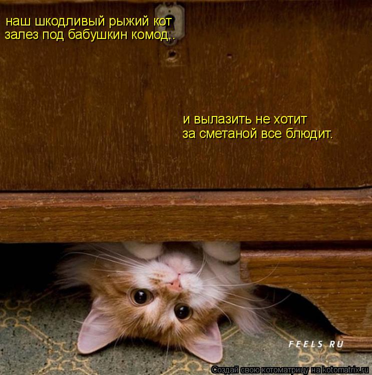 наш шкодливый рыжий кот залез под бабушкин комод.. и вылазить не хотит за сметаной все блюдит.... Котоматрица: наш шкодливый рыжий кот залез под бабушкин комод.. и вылазить не хотит за сметаной все блюдит.