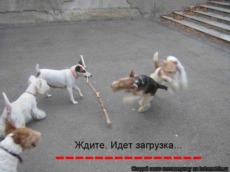 --------------- Ждите. Идет загрузка...... Котоматрица: --------------- Ждите. Идет загрузка...