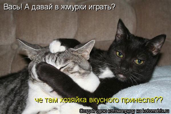 Вась! А давай в жмурки играть? че там хозяйка вкусного принесла??... Котоматрица: Вась! А давай в жмурки играть? че там хозяйка вкусного принесла??