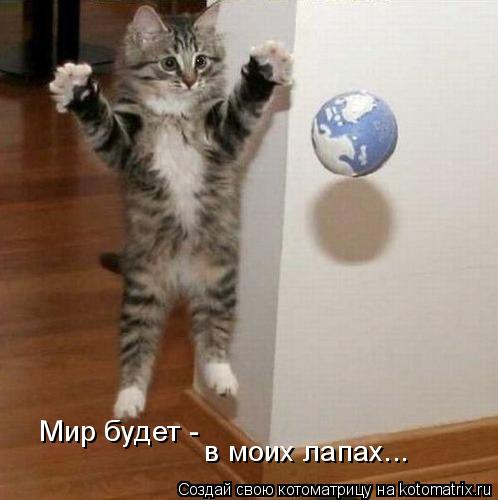 в моих лапах... Мир будет -... Котоматрица: в моих лапах... Мир будет -