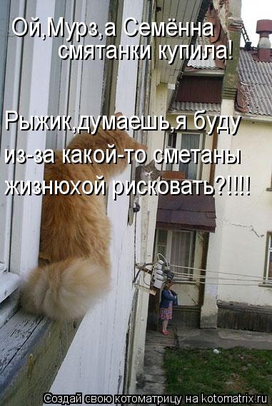 Ой,Мурз,а Семённа смятанки купила! из-за какой-то сметаны Рыжик,думаешь,я буду жизнюхой рисковать?!!!... Котоматрица: Ой,Мурз,а Семённа смятанки купила! из-за какой-то сметаны Рыжик,думаешь,я буду жизнюхой рисковать?!!!!