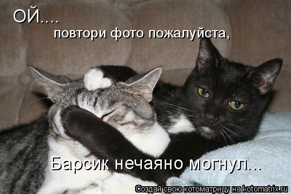 повтори фото пожалуйста, ОЙ.... Барсик нечаяно могнул...... Котоматрица: повтори фото пожалуйста, ОЙ.... Барсик нечаяно могнул...