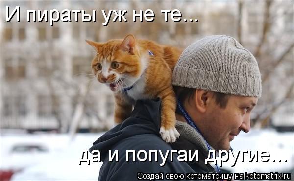 Котоматрица: И пираты уж не те... да и попугаи другие...