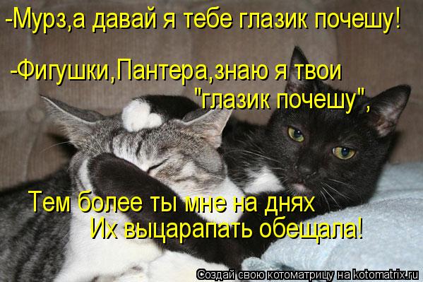 -Мурз,а давай я тебе глазик почешу! -Фигушки,Пантера,знаю я твои "глазик почешу", Тем более ты мне н... Котоматрица: -Мурз,а давай я тебе глазик почешу! -Фигушки,Пантера,знаю я твои "глазик почешу", Тем более ты мне на днях Их выцарапать обещала!
