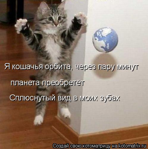 планета преобретёт Сплюснутый вид в моих зубах Я кошачья орбита, через пару минут... Котоматрица: планета преобретёт Сплюснутый вид в моих зубах Я кошачья орбита, через пару минут