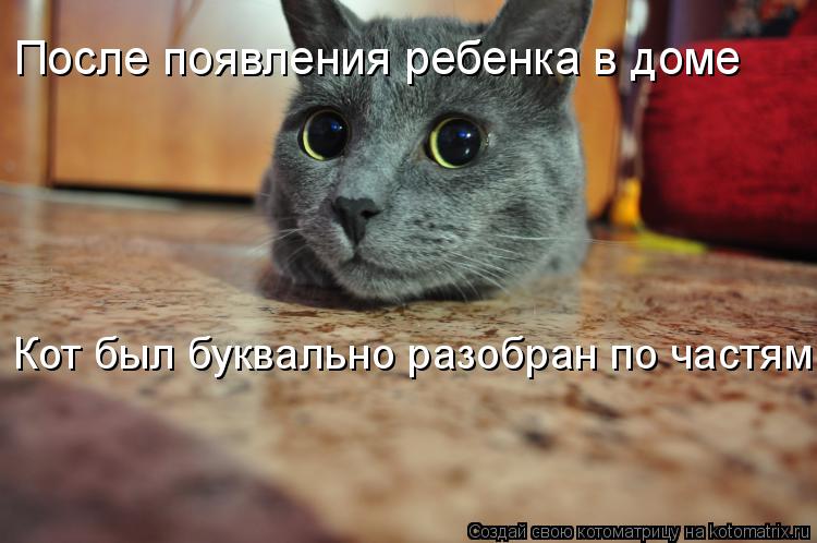 После появления ребенка в доме Кот был буквально разобран по частям.... Котоматрица: После появления ребенка в доме Кот был буквально разобран по частям.