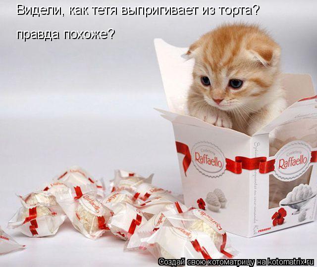 Видели, как тетя выпригивает из торта? правда похоже?... Котоматрица: Видели, как тетя выпригивает из торта? правда похоже?