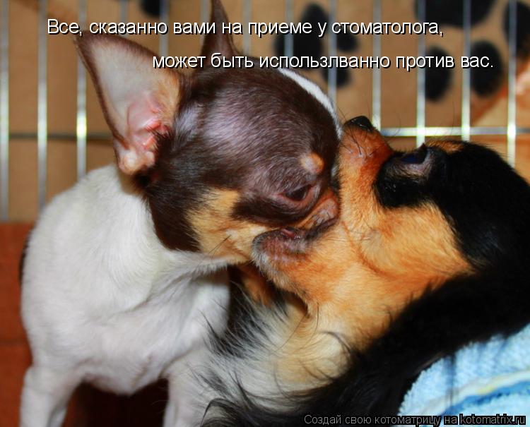 Все, сказанно вами на приеме у стоматолога, может быть использлванно против вас.... Котоматрица: Все, сказанно вами на приеме у стоматолога, может быть использлванно против вас.