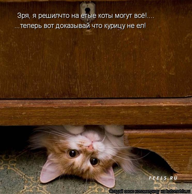 Зря, я решилчто на етые коты могут всё!.... ...теперь вот доказывай что курицу не ел!... Котоматрица: Зря, я решилчто на етые коты могут всё!.... ...теперь вот доказывай что курицу не ел!