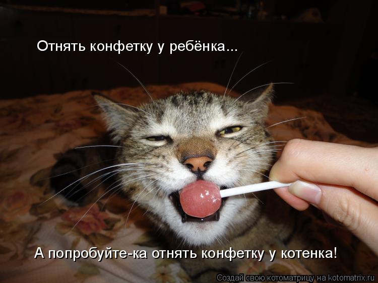 Отнять конфетку у ребёнка... А попробуйте-ка отнять конфетку у котенка!... Котоматрица: Отнять конфетку у ребёнка... А попробуйте-ка отнять конфетку у котенка!