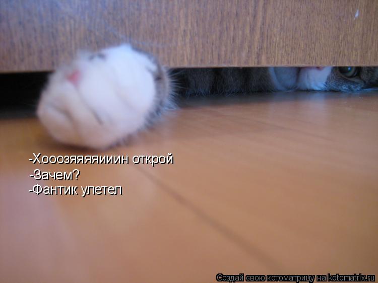 -Хооозяяяяииин открой -Зачем? -Фантик улетел... Котоматрица: -Хооозяяяяииин открой -Зачем? -Фантик улетел