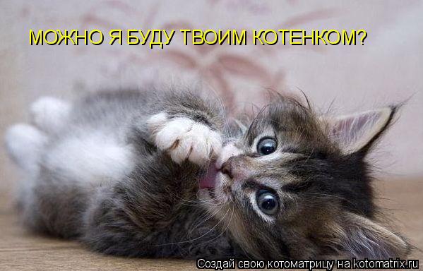 МОЖНО Я БУДУ ТВОИМ КОТЕНКОМ?... Котоматрица: МОЖНО Я БУДУ ТВОИМ КОТЕНКОМ?