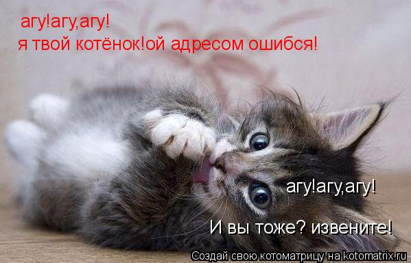 агу!агу,агу! я твой котёнок!ой адресом ошибся! агу!агу,агу! И вы тоже? извените!... Котоматрица: агу!агу,агу! я твой котёнок!ой адресом ошибся! агу!агу,агу! И вы тоже? извените!