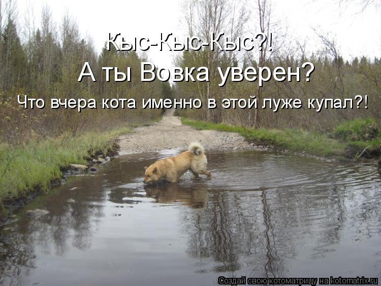 Кыс-Кыс-Кыс?! А ты Вовка уверен? Что вчера кота именно в этой луже купал?!... Котоматрица: Кыс-Кыс-Кыс?! А ты Вовка уверен? Что вчера кота именно в этой луже купал?!