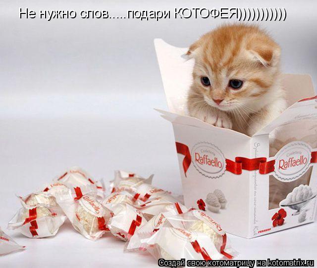 Не нужно слов..... подари КОТОФЕЯ))))))))))) Не нужно слов.....подари КОТОФЕЯ)))))))))))... Котоматрица: Не нужно слов..... подари КОТОФЕЯ))))))))))) Не нужно слов.....подари КОТОФЕЯ)))))))))))