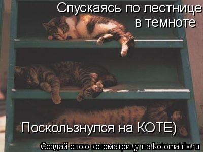 Спускаясь по лестнице в темноте Спускаясь по лестнице в темноте в темноте Поскользнулся... Котоматрица: Спускаясь по лестнице в темноте Спускаясь по лестнице в темноте в темноте Поскользнулся на КОТЕ)