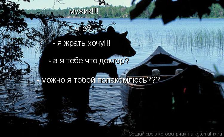мужик!!! - что? - я жрать хочу!!! - а я тебе что доктор? - можно я тобой полакомлюсь???... Котоматрица: мужик!!! - что? - я жрать хочу!!! - а я тебе что доктор? - можно я тобой полакомлюсь???