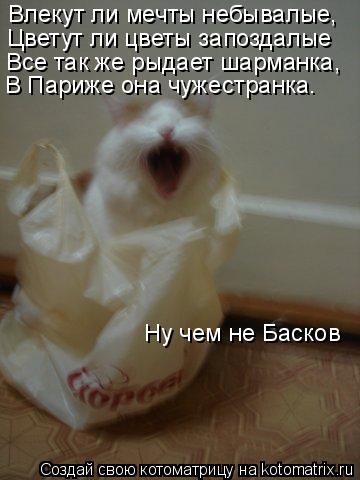 Влекут ли мечты небывалые, Цветут ли цветы запоздалые Все так же рыдает шарманка, В Париже она чужест... Котоматрица: Влекут ли мечты небывалые, Цветут ли цветы запоздалые Все так же рыдает шарманка, В Париже она чужестранка. Ну чем не Басков