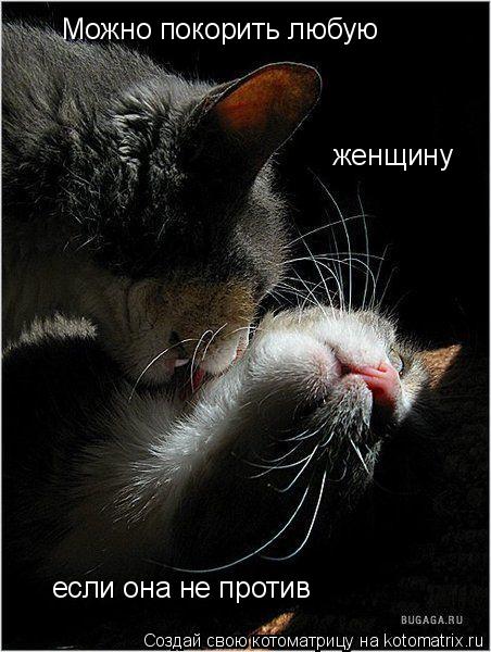 Можно покорить любую женщину если она не против... Котоматрица: Можно покорить любую женщину если она не против