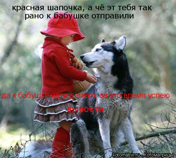 красная шапочка, а чё эт тебя так рано к бабушке отправили да к бабушке идти далеко, за это время ус... Котоматрица: красная шапочка, а чё эт тебя так рано к бабушке отправили да к бабушке идти далеко, за это время успею вырости