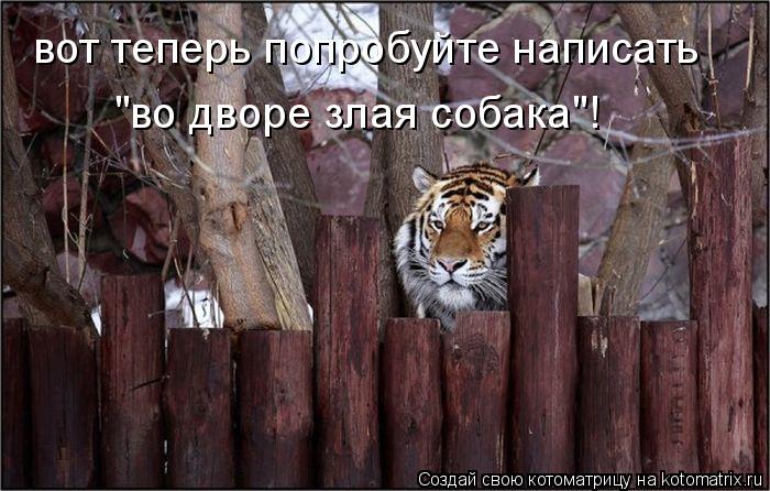 вот теперь попробуйте написать "во дворе злая собака"!... Котоматрица: вот теперь попробуйте написать "во дворе злая собака"!
