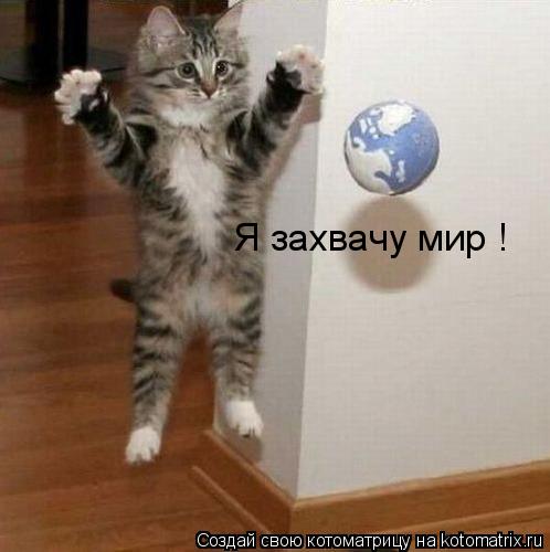 Я захвачу мир !... Котоматрица: Я захвачу мир !