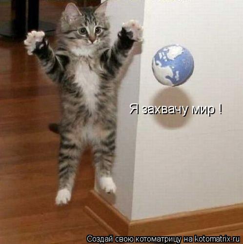 Я захвачу мир !... Котоматрица: Я захвачу мир !
