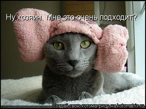 Ну хозяин, Мне это очень подходит?... Котоматрица: Ну хозяин, Мне это очень подходит?