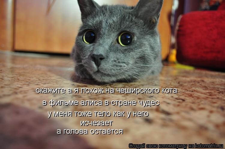 скажите а я похож на чеширского кота в фильме алиса в стране чудес у меня тоже тело как у него исчеза... Котоматрица: скажите а я похож на чеширского кота в фильме алиса в стране чудес у меня тоже тело как у него исчезает а голова остаётся