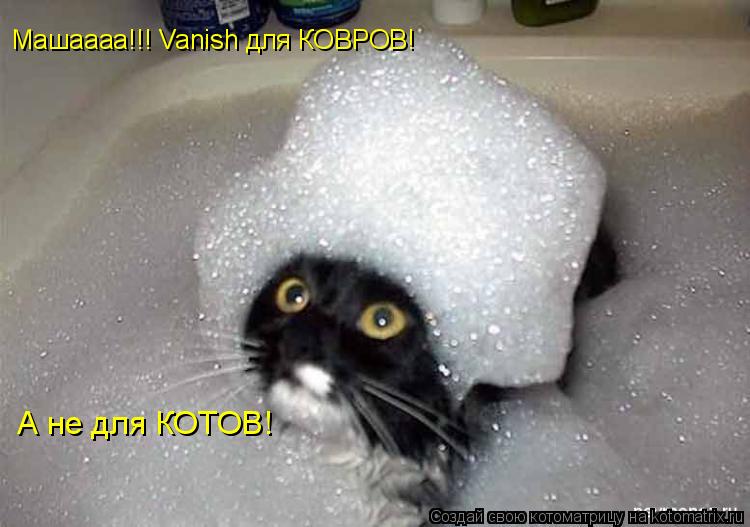 Машаааа!!! Vanish для КОВРОВ! А не для КОТОВ!... Котоматрица: Машаааа!!! Vanish для КОВРОВ! А не для КОТОВ!