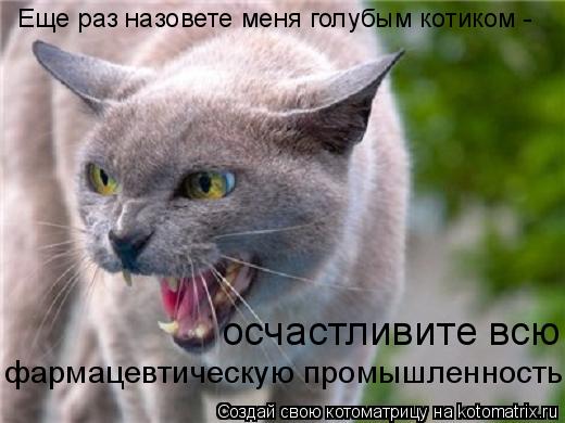 Еще раз назовете меня голубым котиком - осчастливите всю фармацевтическую промышленность!... Котоматрица: Еще раз назовете меня голубым котиком - осчастливите всю фармацевтическую промышленность!