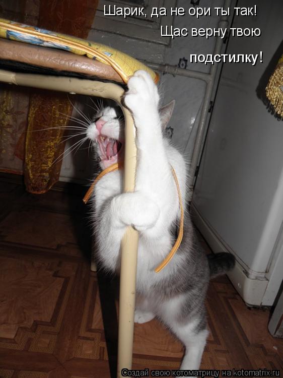 Шарик, да не ори ты так! Щас верну твою подстилку!... Котоматрица: Шарик, да не ори ты так! Щас верну твою подстилку!