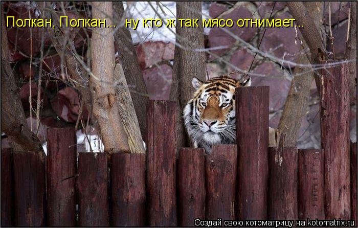 Полкан, Полкан... ну кто ж так мясо отнимает...... Котоматрица: Полкан, Полкан... ну кто ж так мясо отнимает...